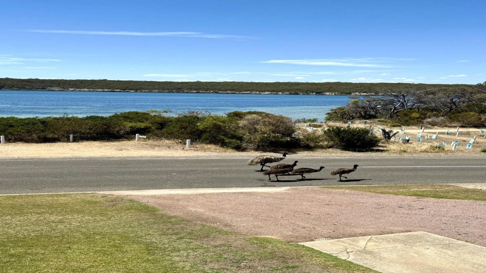 White Springs, Our Peaceful Holiday House In Coffin Bay 外观 照片